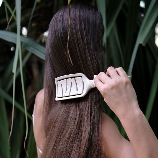 Extensions B&uuml;rste