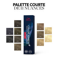 Permanente Haarfarbe Color Xpress 5/1 Hellkastanienbraun Asch
