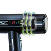 Haartrockner Vanquish Schwarz