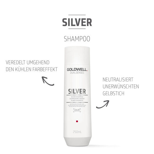 Silber Shampoo