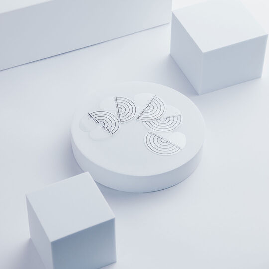 Protect Shield mit Ma&szlig;band 5 St&uuml;ck