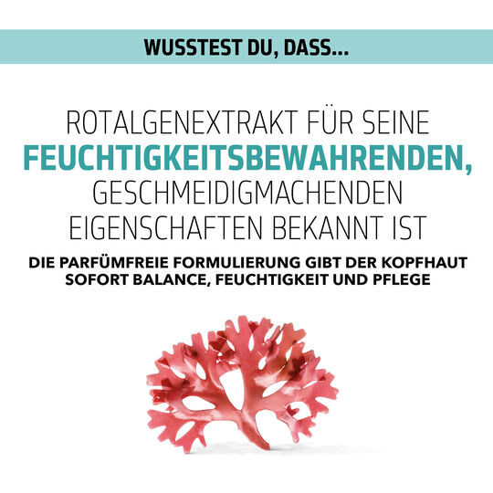 Kopfhaut Balance & Feuchtigkeits Fluid Scalp Specialist