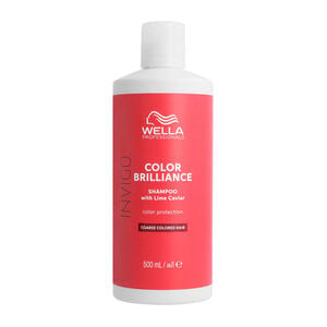 Shampoo f&uuml;r dickes, coloriertes Haar Invigo Color Brilliance