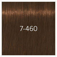 Igora Royal Absolutes 7-460