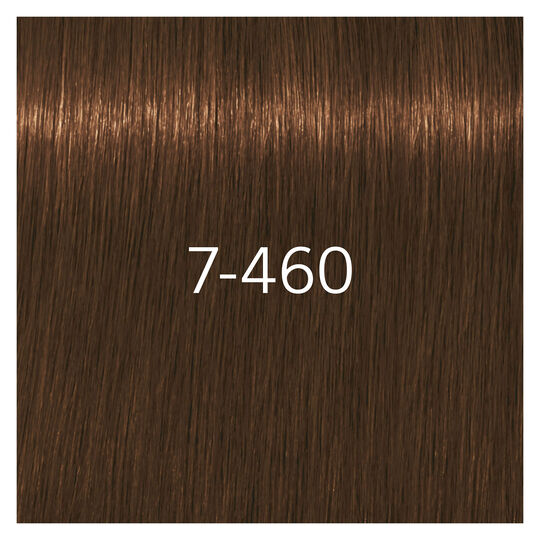 Igora Royal Absolutes 7-460