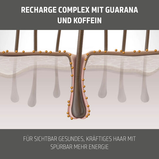 Haarf&ucirc;lle Shampoo Men Thickening