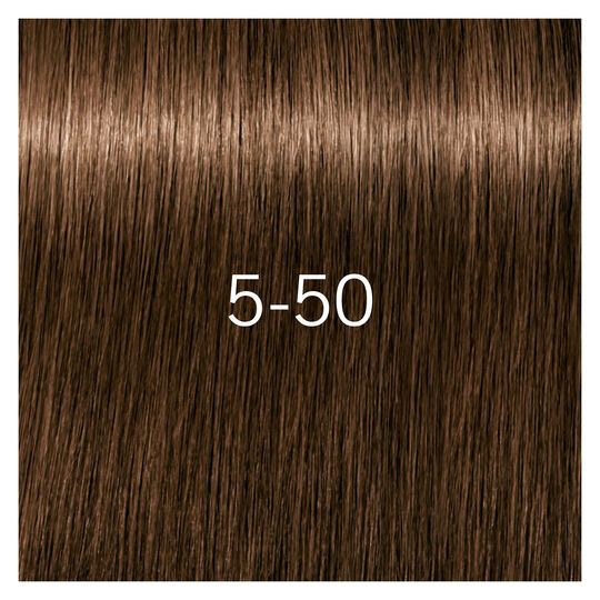 Igora Royal Absolutes 5-50