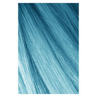 Hair Color Geistesblitz Nr&deg;0.22