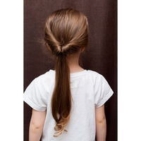 Ponytail Accessoire Pferdeschwanz