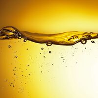 Argan&ouml;l-Elixier Orofluido