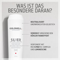 Silver Conditioner