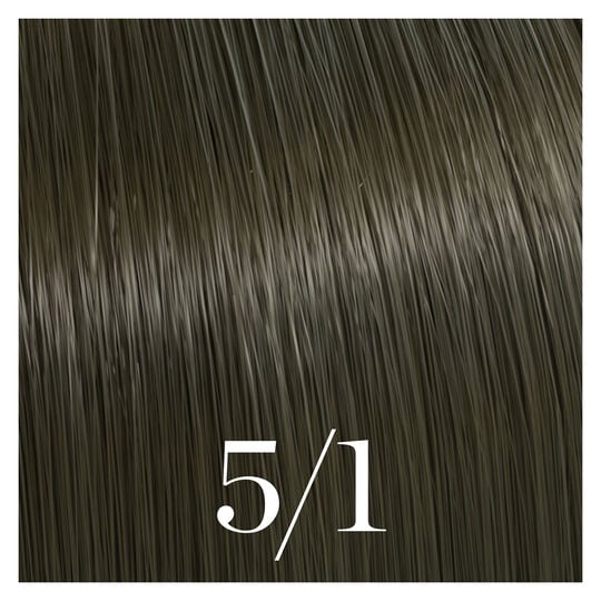Semipermanente Coloration Color Touch 5/1 Hellkastanienbraun Asch