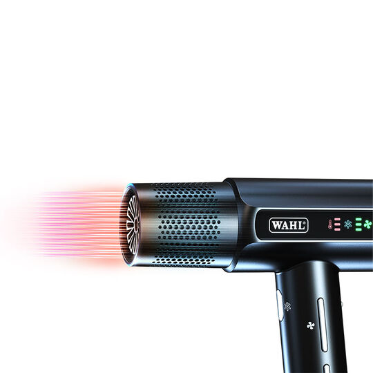Haartrockner Vanquish Schwarz