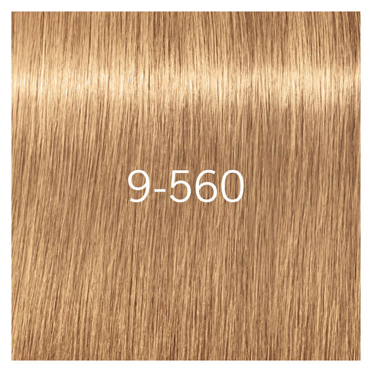 Igora Royal Absolutes 9-560
