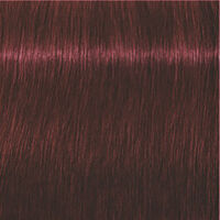 Igora Expert Mousse
