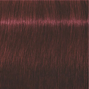 Igora Expert Mousse