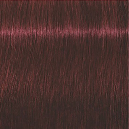Igora Expert Mousse