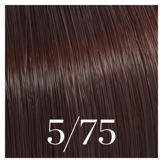 Semipermanente Coloration Color Touch 5/75 Hellkastanienbraun Marron Mahagoni
