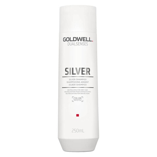 Silber Shampoo