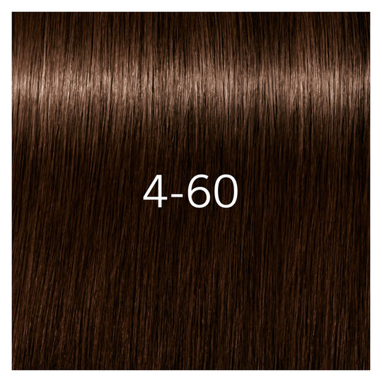 Igora Royal Absolutes 4-60