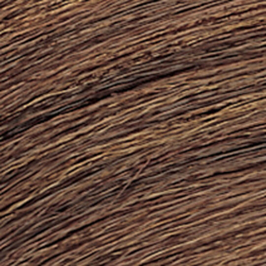 Ton-in-Ton-Haarfarbe Shades EQ Gloss 04WG Sun Tea
