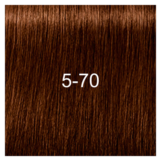 Igora Royal Absolutes 5-70