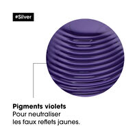Entgelbendes Shampoo Silver