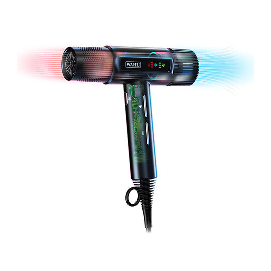 Haartrockner Vanquish Schwarz