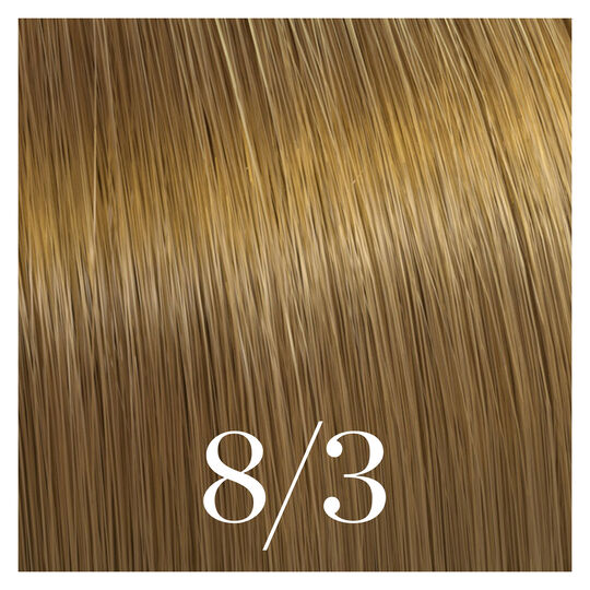 Semipermanente Coloration Color Touch 8/3 Hellblond Gold