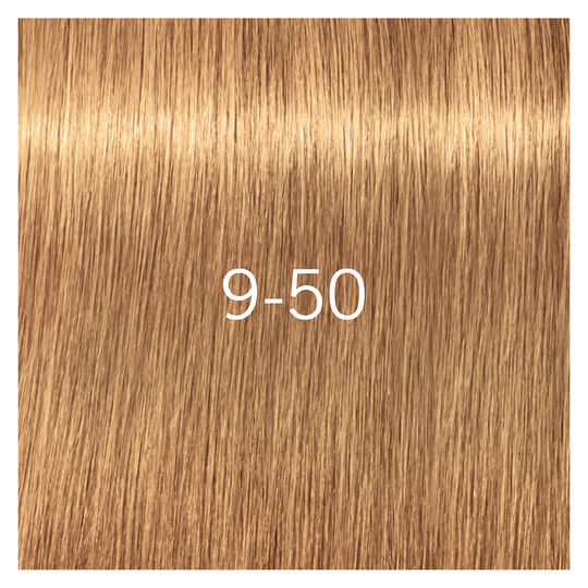 Igora Royal Absolutes 9-50