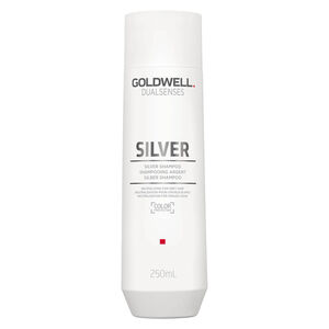 Silber Shampoo
