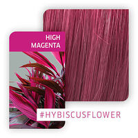 Semipermanente Haarfarbe Color Fresh Create high magenta