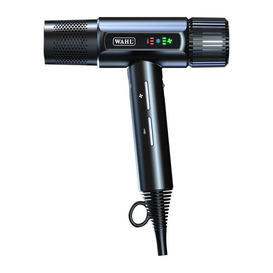 Haartrockner Vanquish Schwarz