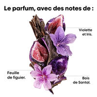 Disziplinierende Maske Keratin Alpha Sleek