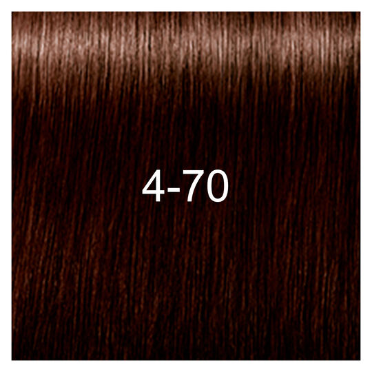 Igora Royal Absolutes 4-70