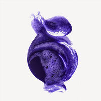 Neutralisierendes Shampoo Nr. 4P