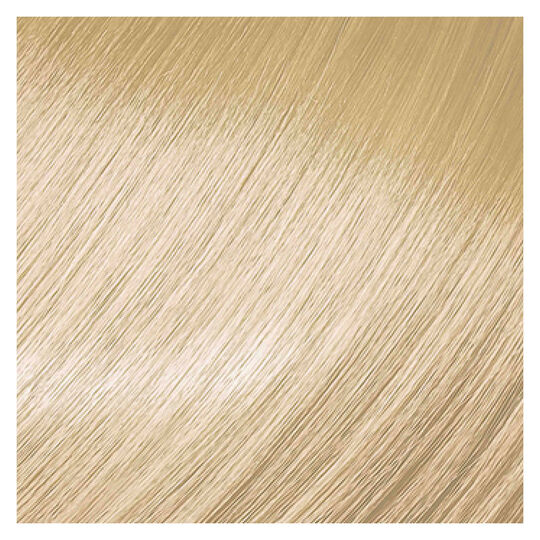 Color Touch Fresh-up-Kit 10/81 Sehr Sehr Hellblond Perlmutt Asch