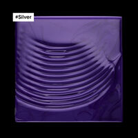 Duo-Nachf&uuml;llpackung Silver + Shampoo