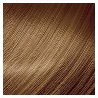 Color Touch Fresh-up-Kit 8/81 Hellblond Perl&eacute; Asch
