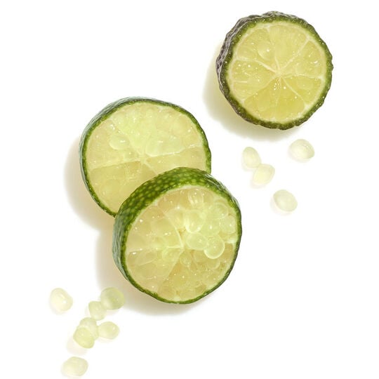 Conditioner f&uuml;r feines bis normales coloriertes Haar Invigo Color Brilliance