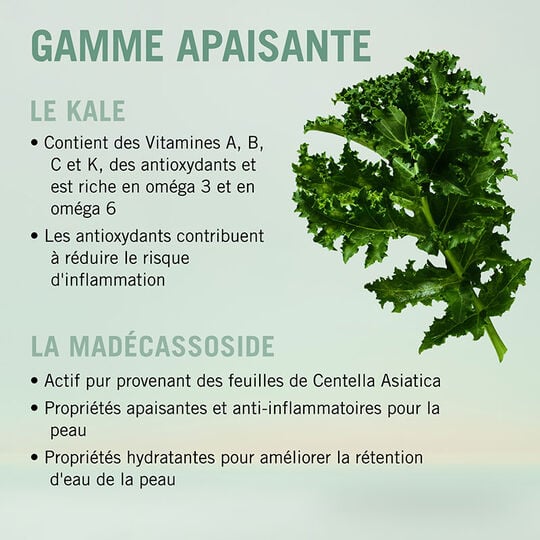 Das beruhigende Serum BC Scalp