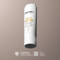 Rich Repair Conditioner