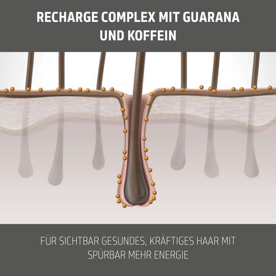 Haarf&ucirc;lle Shampoo Men Thickening