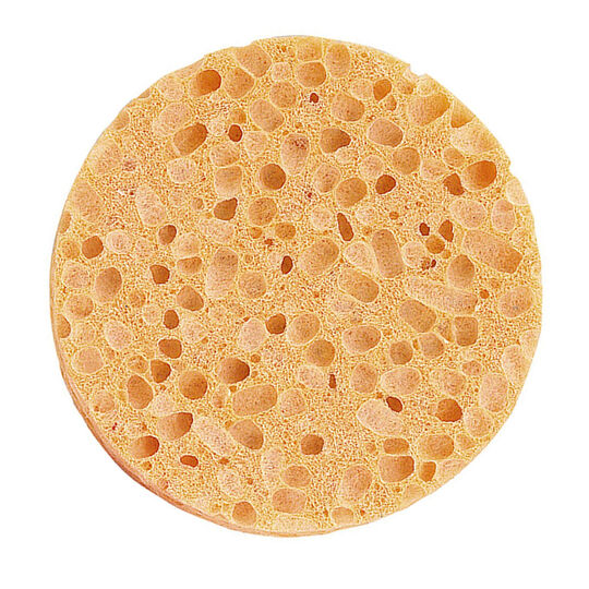Luffa-Schwamm