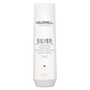 Silber Shampoo