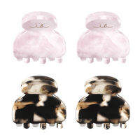 4 kleine Clipstar-Haarklammern