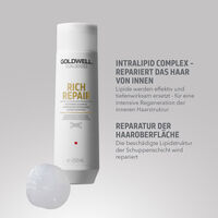 Rich Repair Shampoo