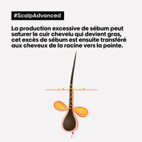 Anti-Fett-Pflege Scalp Advanced