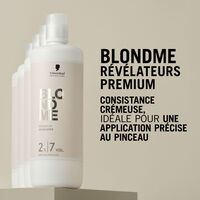 Blondme Premium Developer 2%|7 Vol.