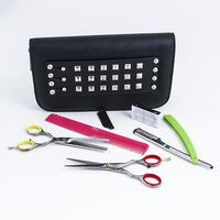 Scheren-Set Polished Ergo 5.5